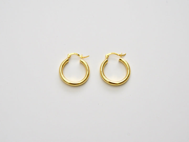 Chunky Hoops: Statement Creolen in 3 Größen | vergoldet