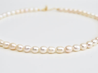 Pearl Collection: Kurze Perlenkette Choker | vergoldet